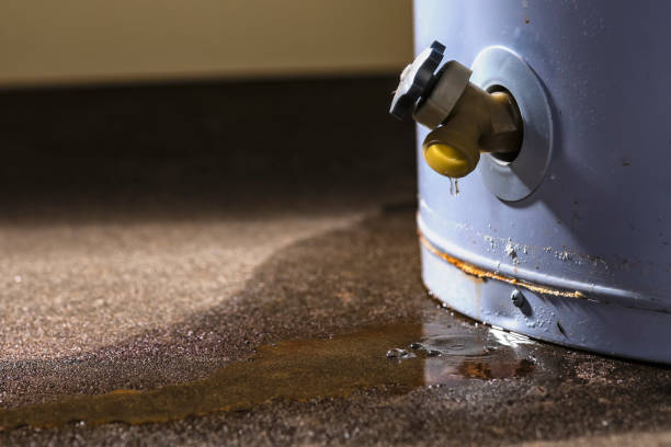 Best Water damage restoration cost  in Lake Mills, IA
