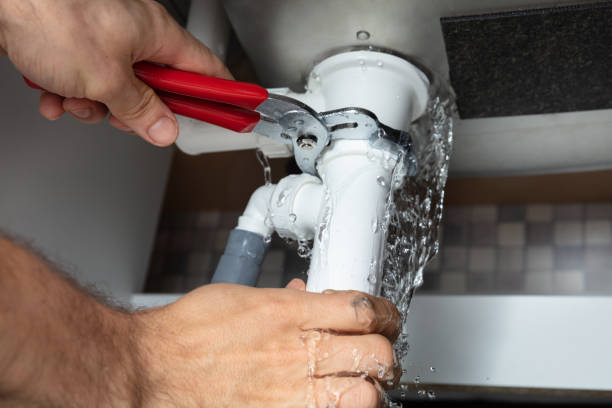 Best Water damage restoration near me  in Lake Mills, IA