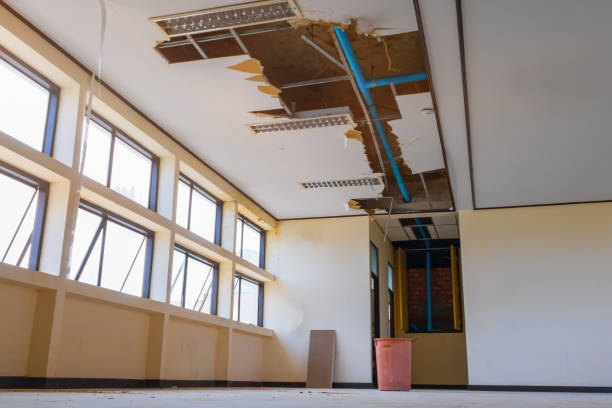 Best Professional water damage repair  in Lake Mills, IA
