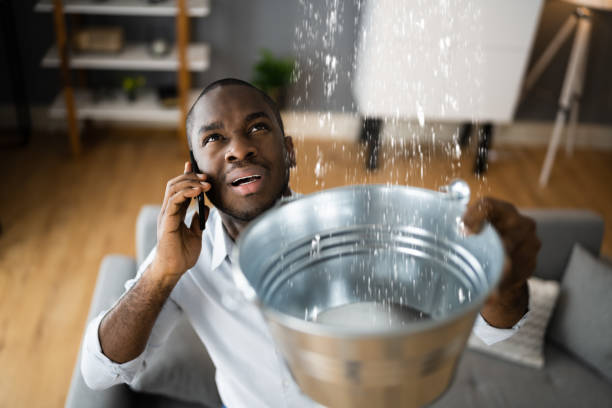 Best Basement water damage restoration  in Lake Mills, IA