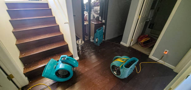 Best Carpet water damage restoration  in Lake Mills, IA