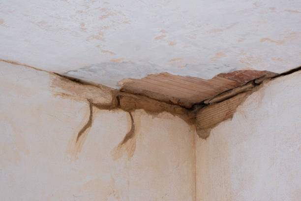 Best Water damage restoration near me  in Lake Mills, IA