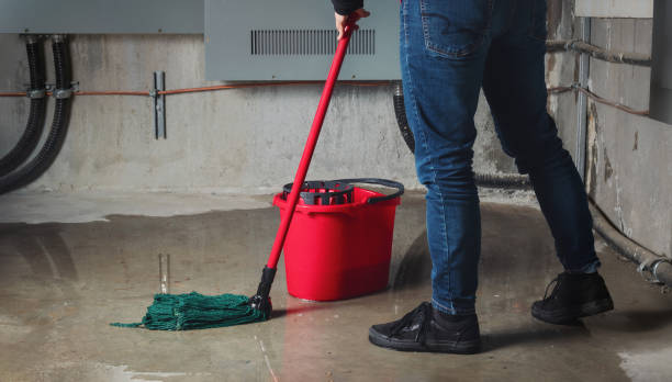 Best Local water damage restoration  in Lake Mills, IA