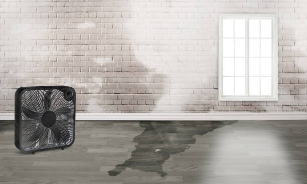Reliable Lake Mills, IA Water damage restoration Solutions