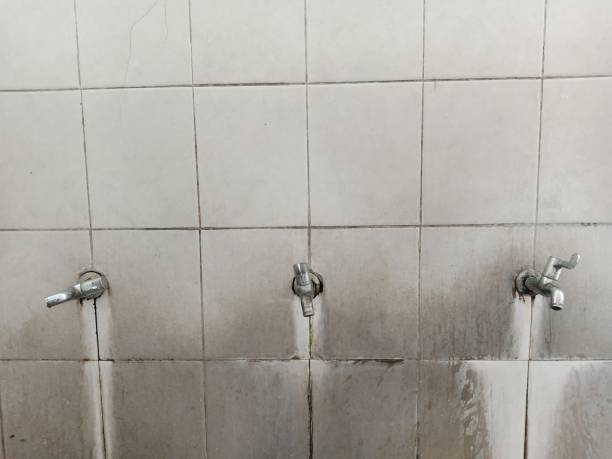 Best Flood damage cleanup  in Lake Mills, IA
