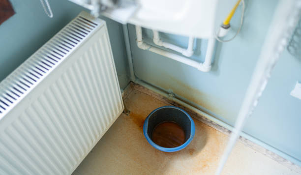 Best Water damage restoration experts  in Lake Mills, IA
