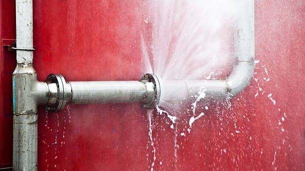 Best Water damage cleanup near me  in Lake Mills, IA